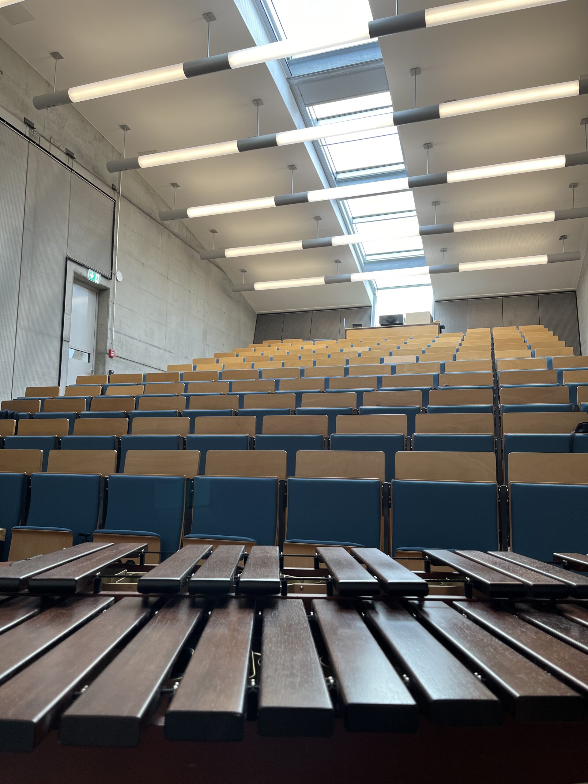 Online lecture at department of Elementare Musik at Musikhochschule Münster/Universität Münster